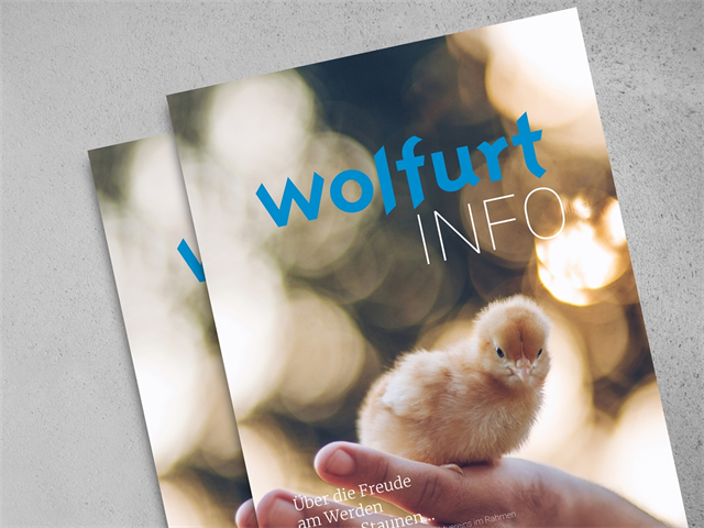 Wolfurt Information April 2020