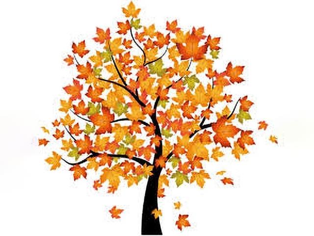 Ein Baum mit orangefarbenen Blättern