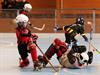 Rollhockey U13 Meisterschaft